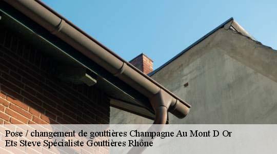 Pose / changement de gouttières  champagne-au-mont-d-or-69410 Ets Steve Spécialiste Gouttières Rhône