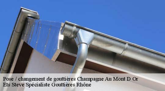 Pose / changement de gouttières  champagne-au-mont-d-or-69410 Ets Steve Spécialiste Gouttières Rhône