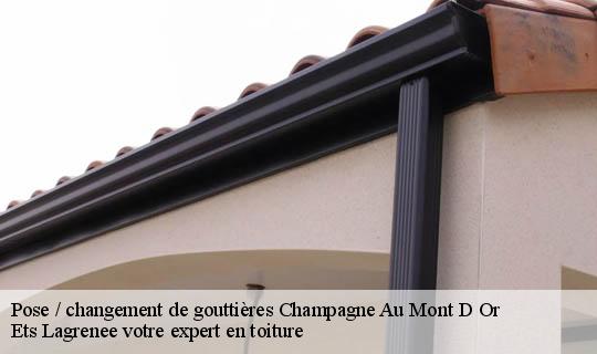 Pose / changement de gouttières  champagne-au-mont-d-or-69410 Ets Lagrenee votre expert en toiture