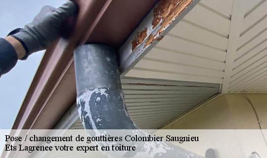Pose / changement de gouttières  colombier-saugnieu-69124 Ets Lagrenee votre expert en toiture