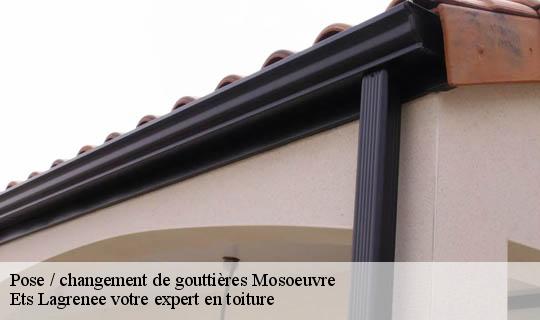 Pose / changement de gouttières  mosoeuvre-69590 Ets Lagrenee votre expert en toiture