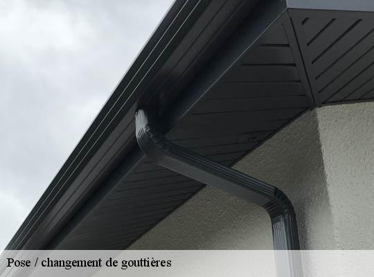 Pose / changement de gouttières  mosoeuvre-69590 Ets Lagrenee votre expert en toiture