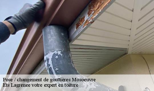 Pose / changement de gouttières  mosoeuvre-69590 Ets Lagrenee votre expert en toiture