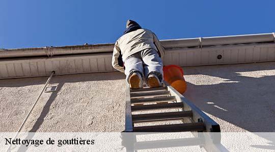 Nettoyage de gouttières  albigny-sur-saone-69250 Ets Steve Spécialiste Gouttières Rhône