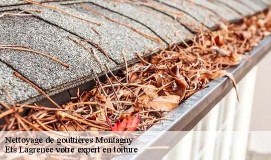 Nettoyage de gouttières  montagny-69700 Ets Lagrenee votre expert en toiture