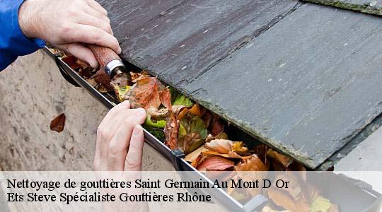 Nettoyage de gouttières  saint-germain-au-mont-d-or-69650 Ets Steve Spécialiste Gouttières Rhône