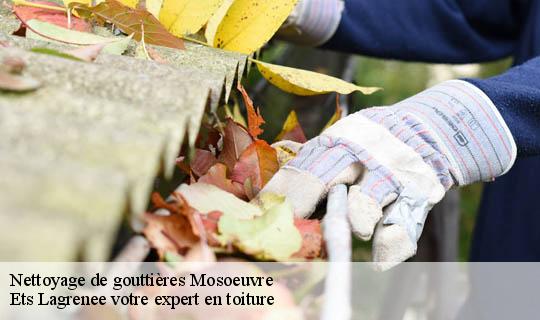 Nettoyage de gouttières  mosoeuvre-69590 Ets Lagrenee votre expert en toiture