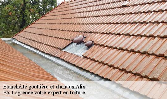 Etanchéité gouttière et chenaux  alix-69380 Ets Lagrenee votre expert en toiture