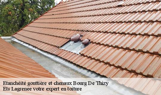Etanchéité gouttière et chenaux  bourg-de-thizy-69240 Ets Lagrenee votre expert en toiture