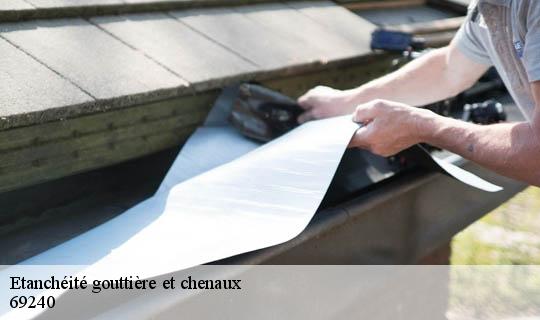 Etanchéité gouttière et chenaux  bourg-de-thizy-69240 Ets Lagrenee votre expert en toiture