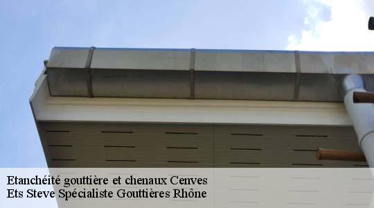 Etanchéité gouttière et chenaux  cenves-69840 Ets Steve Spécialiste Gouttières Rhône