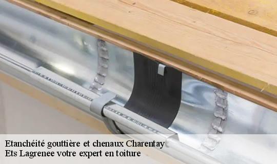 Etanchéité gouttière et chenaux  charentay-69220 Ets Lagrenee votre expert en toiture