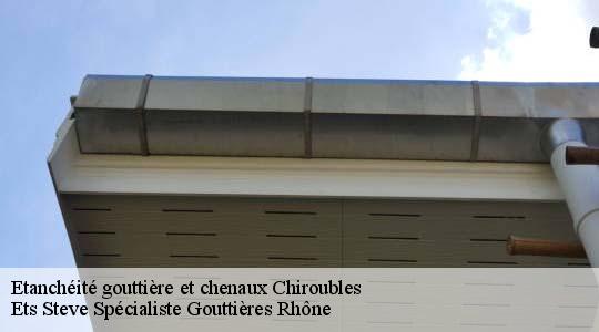 Etanchéité gouttière et chenaux  chiroubles-69115 Ets Steve Spécialiste Gouttières Rhône