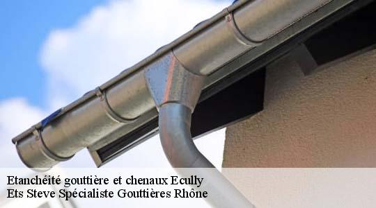 Etanchéité gouttière et chenaux  ecully-69130 Ets Steve Spécialiste Gouttières Rhône