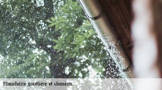 Etanchéité gouttière et chenaux  ecully-69130 Ets Steve Spécialiste Gouttières Rhône