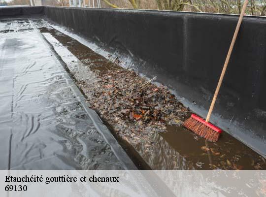 Etanchéité gouttière et chenaux  ecully-69130 Ets Steve Spécialiste Gouttières Rhône