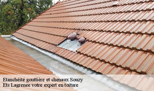 Etanchéité gouttière et chenaux  souzy-69610 Ets Lagrenee votre expert en toiture