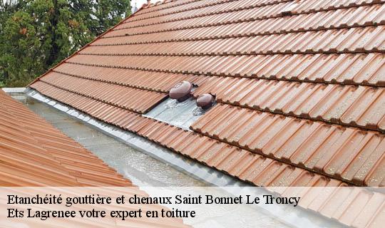 Etanchéité gouttière et chenaux  saint-bonnet-le-troncy-69870 Ets Lagrenee votre expert en toiture