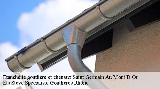 Etanchéité gouttière et chenaux  saint-germain-au-mont-d-or-69650 Ets Steve Spécialiste Gouttières Rhône