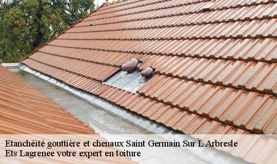Etanchéité gouttière et chenaux  saint-germain-sur-l-arbresle-69210 Ets Lagrenee votre expert en toiture