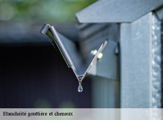 Etanchéité gouttière et chenaux  saint-lager-69220 Ets Lagrenee votre expert en toiture