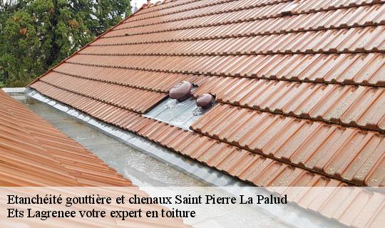 Etanchéité gouttière et chenaux  saint-pierre-la-palud-69210 Ets Lagrenee votre expert en toiture
