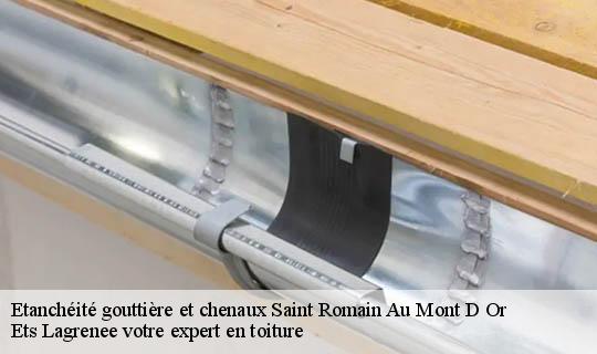 Etanchéité gouttière et chenaux  saint-romain-au-mont-d-or-69270 Ets Lagrenee votre expert en toiture