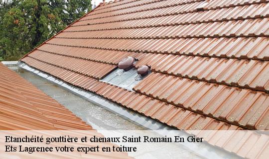 Etanchéité gouttière et chenaux  saint-romain-en-gier-69700 Ets Lagrenee votre expert en toiture
