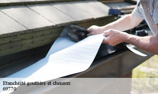 Etanchéité gouttière et chenaux  villecheneve-69770 Ets Lagrenee votre expert en toiture