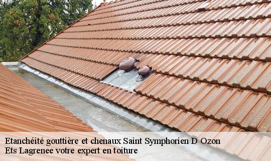 Etanchéité gouttière et chenaux  saint-symphorien-d-ozon-69360 Ets Lagrenee votre expert en toiture