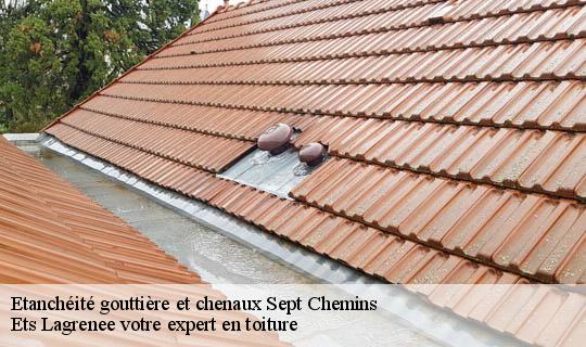 Etanchéité gouttière et chenaux  sept-chemins-69390 Ets Lagrenee votre expert en toiture