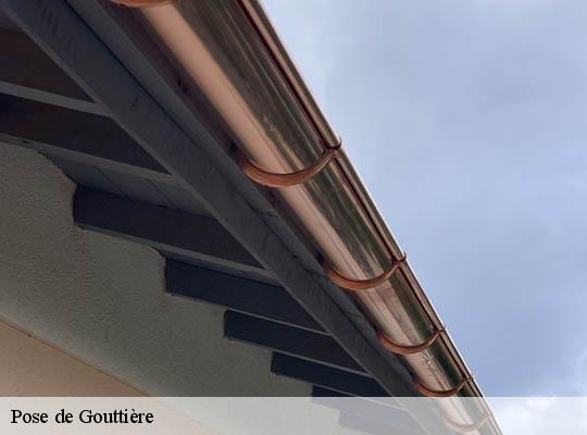 Pose de Gouttière  villeurbanne-69100 Ets Lagrenee votre expert en toiture