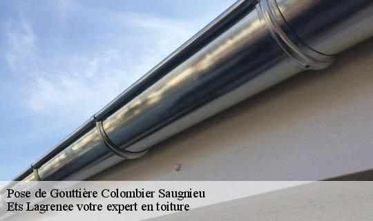 Pose de Gouttière  colombier-saugnieu-69124 Ets Lagrenee votre expert en toiture