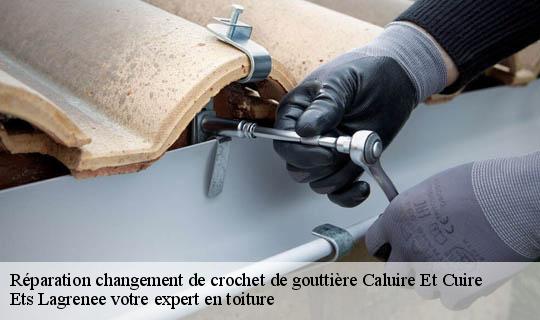 Réparation changement de crochet de gouttière  caluire-et-cuire-69300 Ets Lagrenee votre expert en toiture