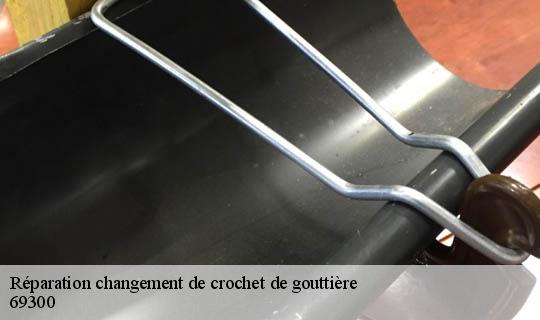 Réparation changement de crochet de gouttière  caluire-et-cuire-69300 Ets Lagrenee votre expert en toiture