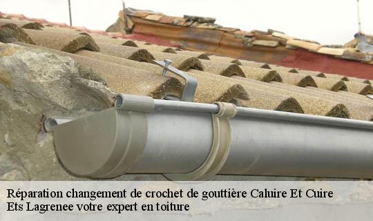 Réparation changement de crochet de gouttière  caluire-et-cuire-69300 Ets Lagrenee votre expert en toiture
