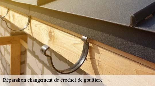 Réparation changement de crochet de gouttière  haute-rivoire-69610 Ets Steve Spécialiste Gouttières Rhône