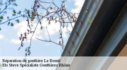 Réparation de gouttière  le-breuil-69620 Ets Steve Spécialiste Gouttières Rhône
