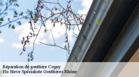 Réparation de gouttière  cogny-69640 Ets Steve Spécialiste Gouttières Rhône