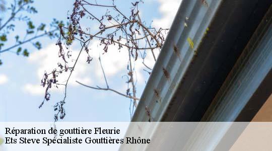 Réparation de gouttière  fleurie-69820 Ets Steve Spécialiste Gouttières Rhône
