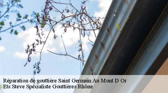Réparation de gouttière  saint-germain-au-mont-d-or-69650 Ets Steve Spécialiste Gouttières Rhône